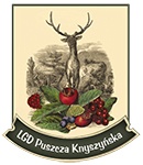Grafika przedstawia logo Lokalnej Grupy Działania Puszczy Knyszyńskiej