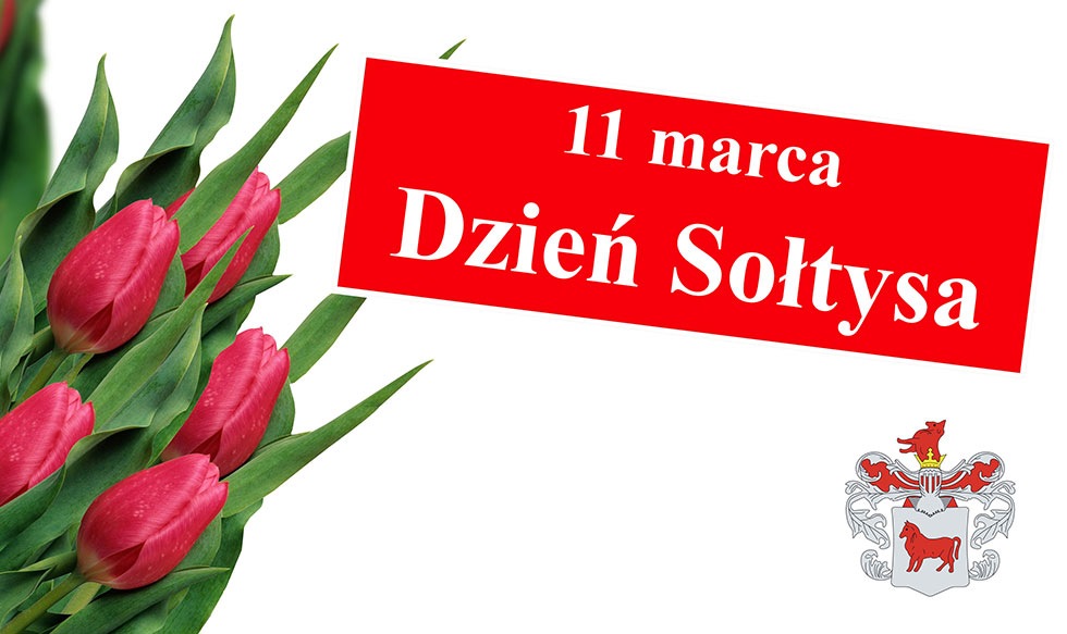 bukiet tulipanów tablica z napisem 11 marca Dzień Sołtysa, logo Gminy Dobrzyniewo Duże