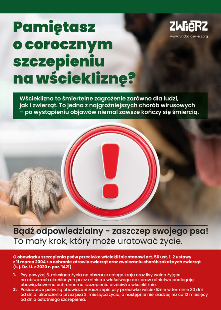 Plakat informacyjny o corocznym szczepieniu psów przeciwko wściekliźnie. Na górze napis: 'Pamiętasz o corocznym szczepieniu na wściekliznę?'. W centralnej części grafiki widoczna jest dłoń obejmująca łapę psa, obok której znajduje się czerwony wykrzyknik. Na dole umieszczono komunikat: 'Bądź odpowiedzialny - zaszczep swojego psa!' wraz z krótką informacją o obowiązujących przepisach dotyczących szczepień
